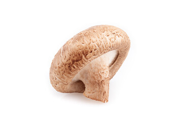 Fresh shiitake mushrooms isolated on white background