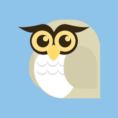 Obraz na płótnie Canvas owl
