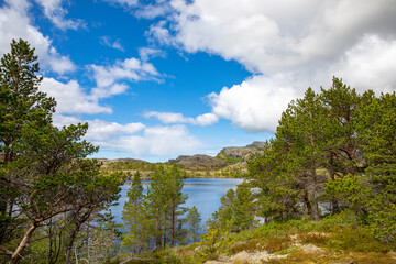 On a hike to Lake Vaagsvatnet a great summer day, Sømna municipality in Northern Norway