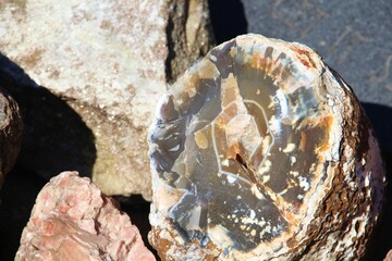 Raw mineral and rock. geode