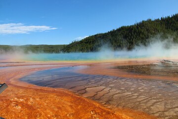 Steaming sulphuric hot spring with colorful ground.