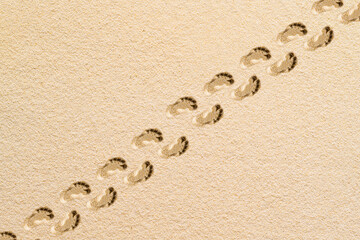 pair of footprints of adults  on a sandy beach. Aerial view. Family summer and travel concept. Minimalism