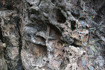 Cavities of big lava rock that once flowed through the ocean.