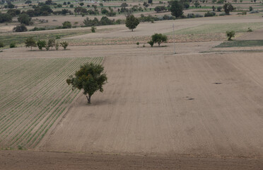 Obraz premium road in the countryside