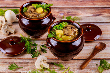 Stewed potato, meat and mushrooms in a clay pots with lid.