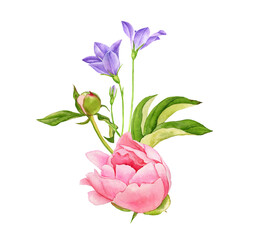 watercolor drawing wild flowers