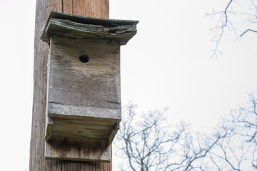 rustic wooden bird house