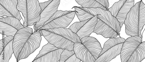 Hand Drawn Leaves Line Arts Ink Drawing Background Abstract Leaf Vector Pattern Tropical Leaves Design For Fabric Wrapping Paper And Prints Vector Illustration Wall Mural Vectortwins