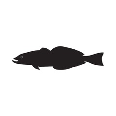 Obraz premium silhouette of fish