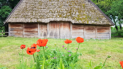 Old peasant Ukrainian house or barn in the summer with a thatched roof in the village. Pirogovo...