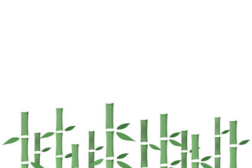 Bamboo forest illustration.  竹林のイラスト