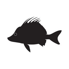 silhouette of fish