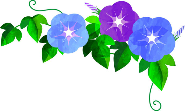 4 199 Best あさがお Images Stock Photos Vectors Adobe Stock 4 199 Best あさがお Images Stock Photos Vectors Adobe Stock