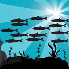 silhouette of a shoal of fish