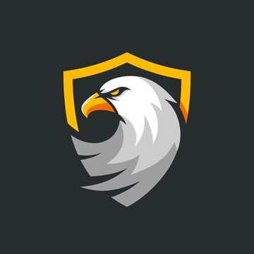modern eagle head in shield, esport vector logo template