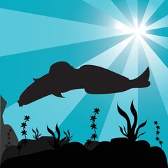 silhouette of underwater fish