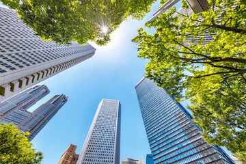 新緑が綺麗な西新宿高層ビル群 © taka