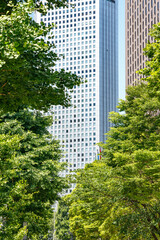 新緑が綺麗な西新宿高層ビル群
