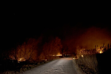 Fototapeta na wymiar Wildfires. Burning estuary. Fire in the steppe.