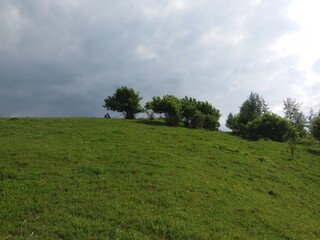 green field and blue sky