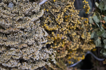 Image of dried flowers.