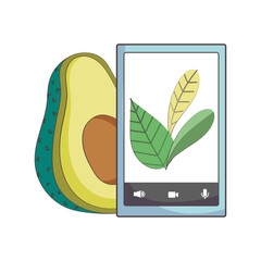 fresh market smartphone avocado, organic healthy food vegetable and fruit