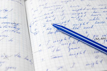 Sheets of school student notebook scribbled with a blue ballpoint pen.