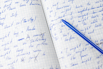 Sheets of school student notebook scribbled with a blue ballpoint pen.