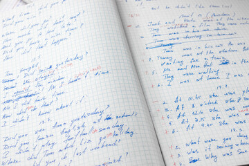 Sheets of school student notebook scribbled with a blue ballpoint pen.