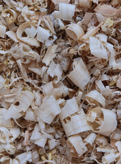 Background of the wood shavings
