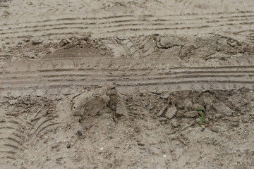Imprints of car tires on a dirt country road in the light of the setting sun.
