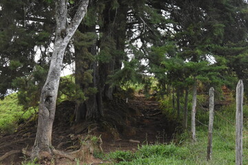 PAISAJE