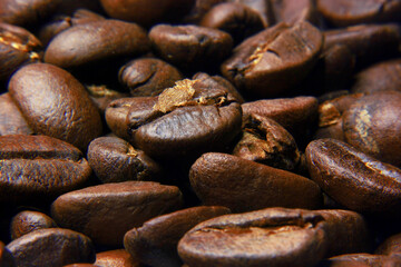 photo of freshly roasted coffee beans and left to cool before packaging, roasted to medium roast level so that they have a mild taste for coffee lovers who like light coffee
