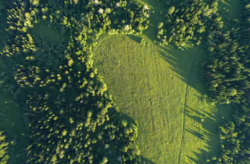 Aerial top: mountain forest, texture of meadow view from above. Drone's Eye - tree green background. high-quality back for design and layout, the concept of summer meadows bordering an array of trees