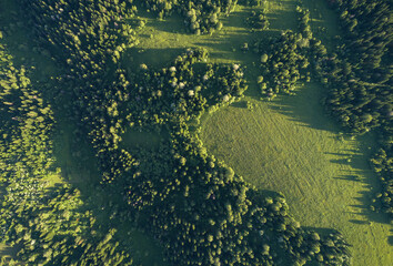Aerial top: mountain forest, texture of meadow view from above. Drone's Eye - tree green background. high-quality back for design and layout, the concept of summer meadows bordering an array of trees