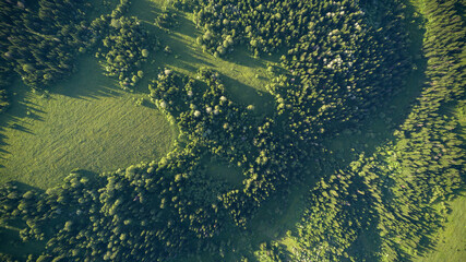 Aerial top: mountain forest, texture of meadow view from above. Drone's Eye - tree green background. high-quality back for design and layout, the concept of summer meadows bordering an array of trees