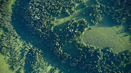 Aerial top: mountain forest, texture of meadow view from above. Drone's Eye - tree green background. high-quality back for design and layout, the concept of summer meadows bordering an array of trees