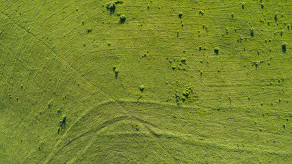Aerial top view: green spring mountain meadow with a small amount of forest. synchronous tracks of the mower. village road