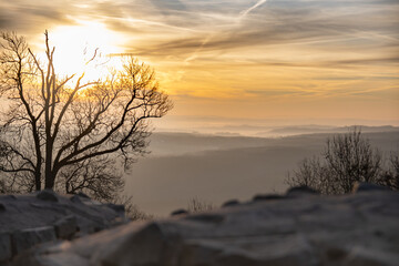 Siebengebirge Blick von der Löwenburg