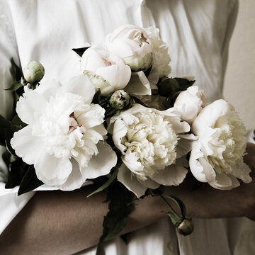 White peonies in hands - stock photo