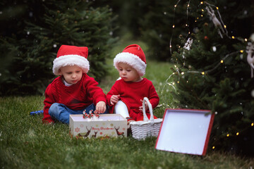 Children in Santa Claus costumes unpack gifts. The girl in the hat of Santa Claus and the Boy in the red sweater are sitting among the Christmas trees and unfold the boxes with gifts. Christmas concep