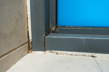 Old plastic window frame in the shower. Moldy angle, fungus. Problem areas shower.