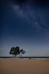 Fototapeta na wymiar Milky way, tree and sand dune under the moon light, at Sumba, Indonesia