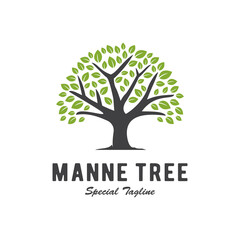 tree logo concept, plant design template