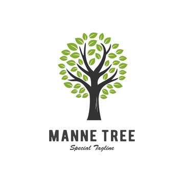 tree logo concept, plant design template
