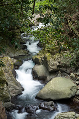 Fototapeta premium 岩の間を流れる渓流