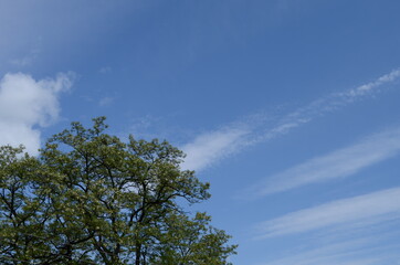 Blue sky with clouds and sun.