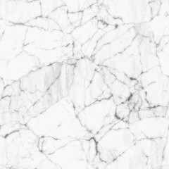 White Carrara Marble Seamless  Background Texture Glossy Light