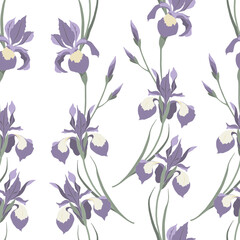 Vector seamless pattern with blossomed irises