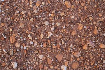 Black stone or brown stone and white stone on the nature background or on the soil background